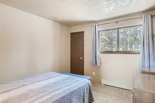 9800 Ryan Gulch Rd, Silverthorne, CO 80498 - Photo 5