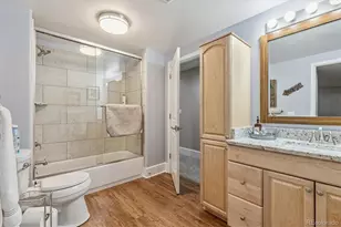 9646 Westbury Way, Highlands Ranch, CO 80129 - Photo 27