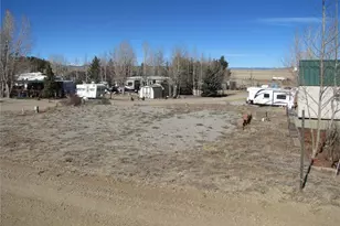 125 Tressel Trail, Hartsel, CO 80449 - Photo 1