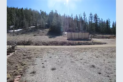 125 Tressel Trail, Hartsel, CO 80449 - Photo 3