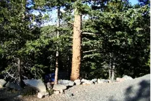 Lot 89 Mine Rd, Idaho Springs, CO 80453 - Photo 1