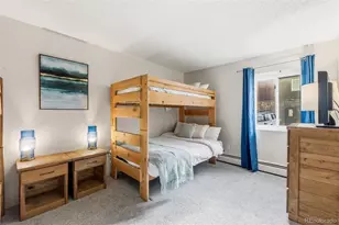 412 S Main St, Breckenridge, CO 80424 - Photo 19
