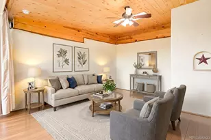 212 Skyhawk Ln, Guffey, CO 80820 - Photo 3