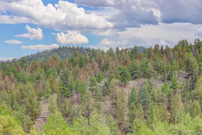 212 Skyhawk Lane, Guffey, CO 80820 - Photo 11