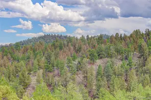 212 Skyhawk Ln, Guffey, CO 80820 - Photo 11