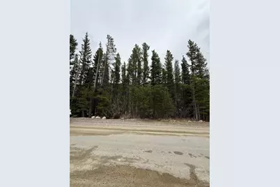 111 Silver Creek Road, Idaho Springs, CO 80452 - Photo 3