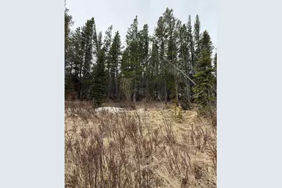 111 Silver Creek Road, Idaho Springs, CO 80452 - Photo 1