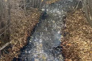 198 Co Rd 26, Twin Lakes, CO 81251 - Photo 31