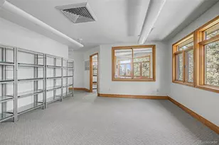 857 Pawnee Trail, Castle Rock, CO 80108 - Photo 21