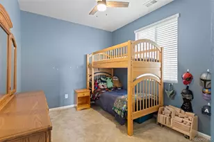 5347 Gray Wolf Ln, Castle Rock, CO 80104 - Photo 25