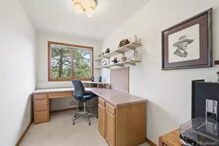 5919 Irish Pat Murphy Dr, Parker, CO 80134 - Photo 31