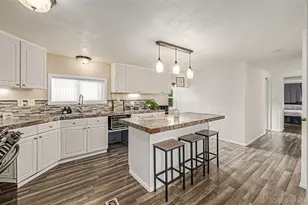 5139 E 96th Pl, Denver, CO 80229 - Photo 13