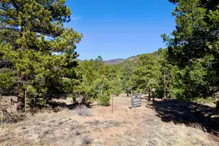 530 & 592 Red Feather Rd, Cotopaxi, CO 81223 - Photo 39
