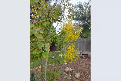 6164 Brentwood Street, Arvada, CO 80004 - Photo 37