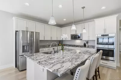 3771 White Rose Loop, Castle Rock, CO 80108 - Photo 11