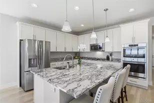 3771 White Rose Loop, Castle Rock, CO 80108 - Photo 11