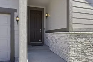 3771 White Rose Loop, Castle Rock, CO 80108 - Photo 3