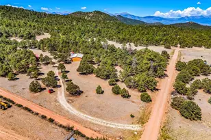 1576 I Path, Cotopaxi, CO 81223 - Photo 39