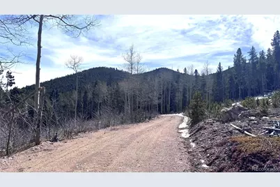 001 Seldom Seen Road, Golden, CO 80403 - Photo 9