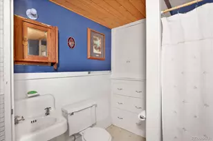 410 Pinon St, Buena Vista, CO 81211 - Photo 15
