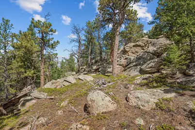 11948 Begole Circle, Golden, CO 80403 - Photo 39