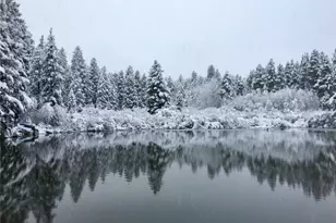 16903 Hwy 119, Black Hawk, CO 80422 - Photo 43