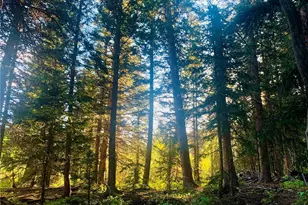 16903 Hwy 119, Black Hawk, CO 80422 - Photo 41