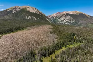 89310 Ryan Gulch Rd Road, Silverthorne, CO 80498 - Photo 35