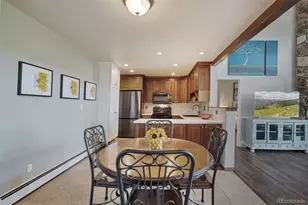 89310 Ryan Gulch Rd Road, Silverthorne, CO 80498 - Photo 15