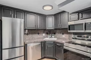 1390 N Emerson Street, Denver, CO 80218 - Photo 9