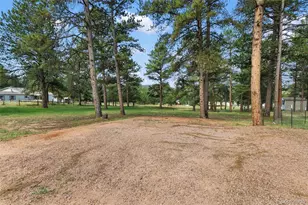 27650 Triple B Rd, Woodland Park, CO 80863 - Photo 7
