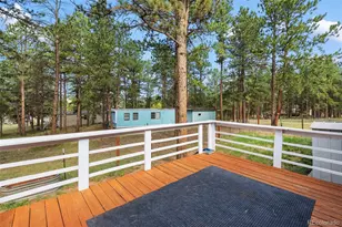 27650 Triple B Rd, Woodland Park, CO 80863 - Photo 31