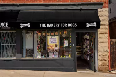 3336 Tejon Street #4, Denver, CO 80211 - Photo 33