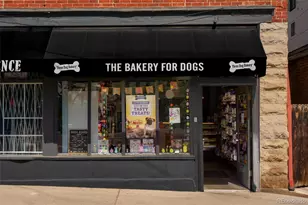 3336 Tejon St, Denver, CO 80211 - Photo 33