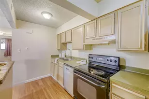 4641 S Lowell Blvd, Denver, CO 80236 - Photo 5