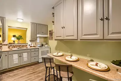 1060 Leyden Street, Denver, CO 80220 - Photo 11