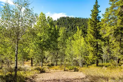 802 Marmot Drive, Red Feather Lakes, CO 80545 - Photo 49