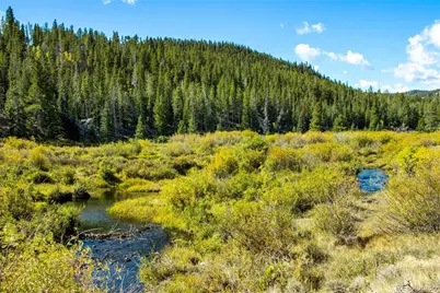 802 Marmot Drive, Red Feather Lakes, CO 80545 - Photo 19