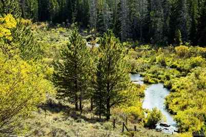 802 Marmot Drive, Red Feather Lakes, CO 80545 - Photo 27