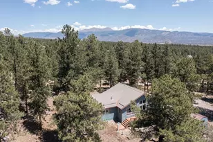 18060 Rio Hondo Dr, Buena Vista, CO 81211 - Photo 49