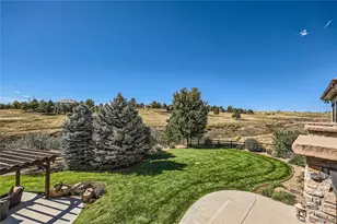 11331 Bell Cross Cir, Parker, CO 80138 - Photo 43