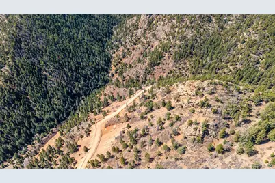 13912 Woodmoor West Drive, Larkspur, CO 80118 - Photo 9