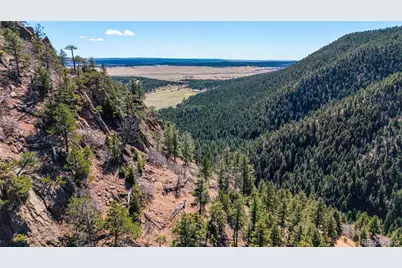 13912 Woodmoor West Drive, Larkspur, CO 80118 - Photo 1