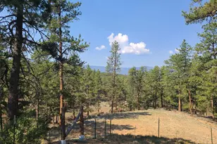 23721 Summit St, Pine, CO 80470 - Photo 27