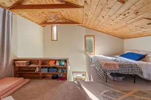 590 W Pine St, Nederland, CO 80466 - Photo 21