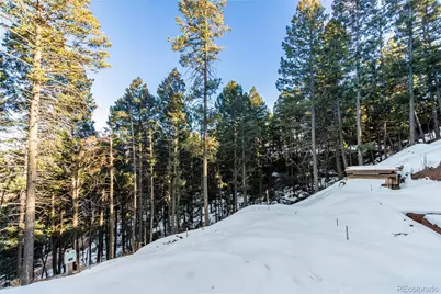 2199 Badger Drive, Larkspur, CO 80118 - Photo 21