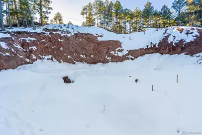 2199 Badger Drive, Larkspur, CO 80118 - Photo 17