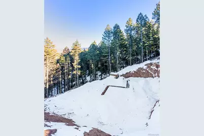 2199 Badger Drive, Larkspur, CO 80118 - Photo 25