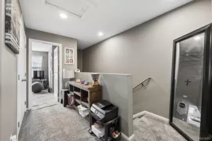 19037 E 57th Pl, Denver, CO 80249 - Photo 17