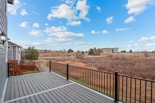 10742 Jellison Cir, Broomfield, CO 80021 - Photo 39